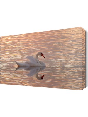 Dekor Sevgisi Günbatımında Yüzen Beyaz Kuğu Tablosu 45x30 cm