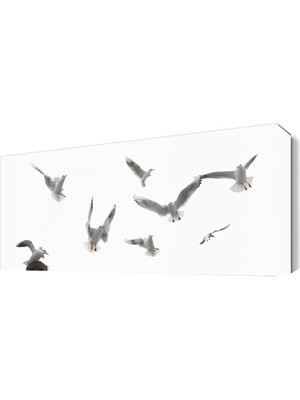 Dekor Sevgisi Gökyüzünde Martılar Tablosu 45x30 cm