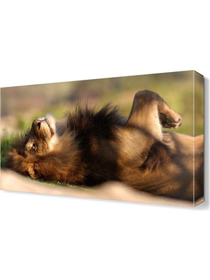Dekor Sevgisi Yeleli Aslan Canvas Tablo  45x30 cm