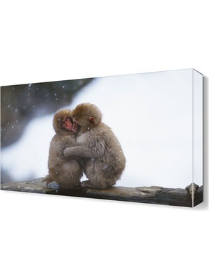 Dekor Sevgisi Sevimli Maymunlar Canvas Tablo  45x30 cm