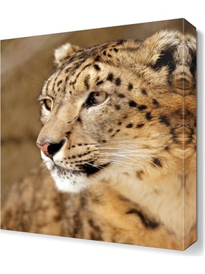 Dekor Sevgisi Aslan Tablosu 45x30 cm