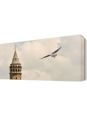 Dekor Sevgisi Galata Kulesi ve Martı Tablosu 45x30 cm