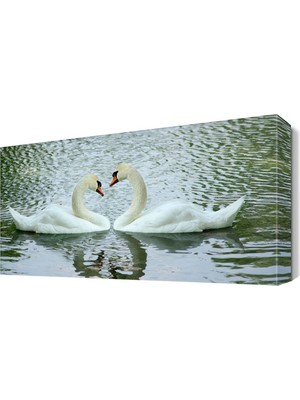 Dekor Sevgisi Nehirdeki Kuğular Tablosu 45x30 cm