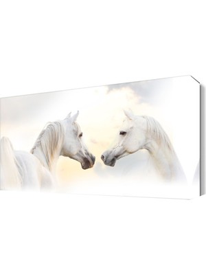 Dekor Sevgisi Beyaz Atlar3 Tablo 45x30 cm