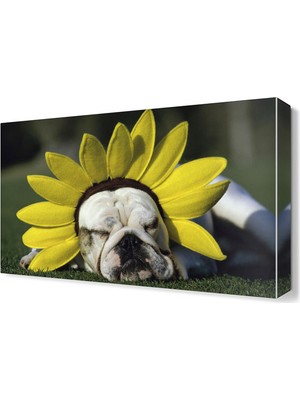 Dekor Sevgisi Sevimli Köpek Canvas Tablo  45x30 cm