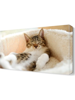 Dekor Sevgisi Uyuyan Kedi Canvas Tablo  45x30 cm