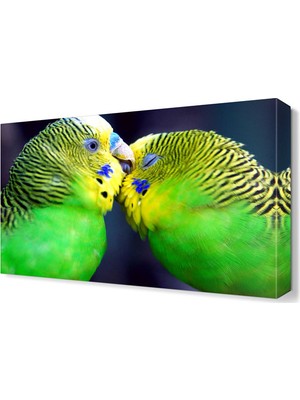 Dekor Sevgisi Muhabbet Kuşları Canvas Tablo  45x30 cm