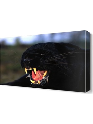 Dekor Sevgisi Ürkütücü Canvas Tablo  45x30 cm