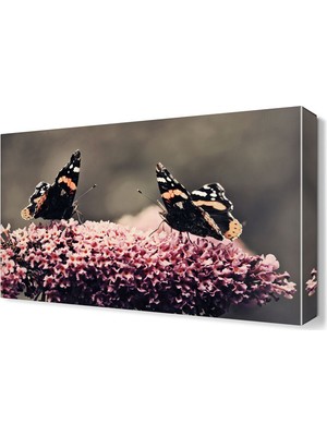 Dekor Sevgisi Kelebekler Canvas Tablo  45x30 cm