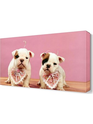 Dekor Sevgisi İkiz Köpekler Canvas Tablo  45x30 cm