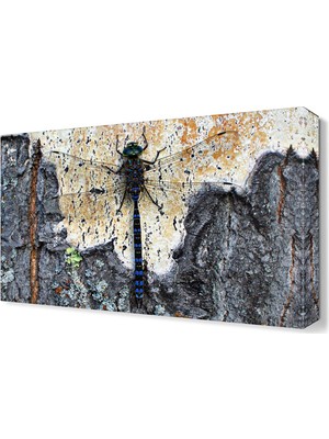 Dekor Sevgisi Helikopter Böceği Canvas Tablo  45x30 cm
