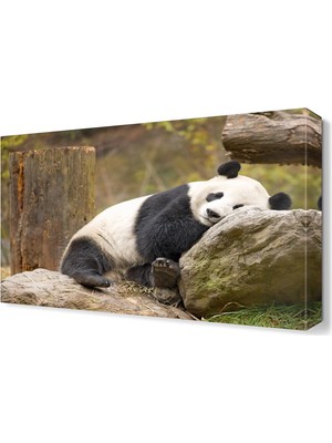 Dekor Sevgisi Panda Canvas Tablo  45x30 cm