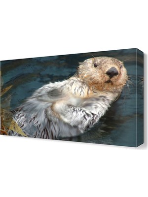 Dekor Sevgisi Islak Fok Canvas Tablo  45x30 cm