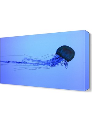 Dekor Sevgisi Deniz Anası Canvas Tablo  45x30 cm