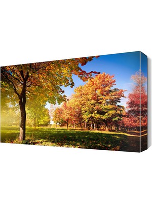 Dekor Sevgisi Sonbahar Renkli Ağaçlar Canvas Tablo  45x30 cm