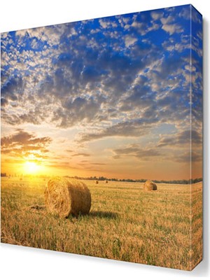 Dekor Sevgisi Tarla ve Güneş Manzarası Canvas Tablo  45x30 cm
