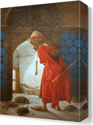 Dekor Sevgisi Kaplumbağa Eğiticisi Canvas Tablo  45x30 cm
