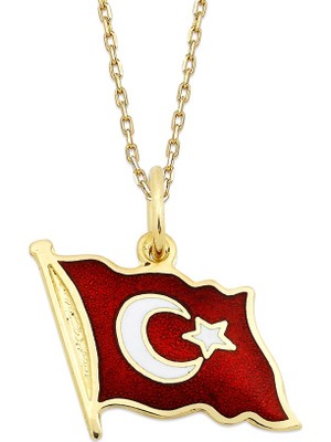 AltınSepeti Türk Bayraklı Altın Kolye AS774KL