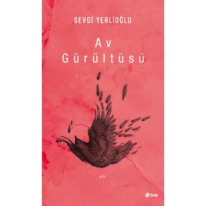 Av Gürültüsü