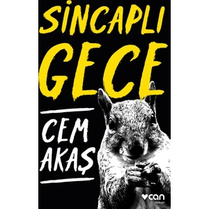 Sincaplı Gece