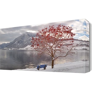 Dekor Sevgisi Kar ve Dağ Manzarası Canvas Tablo  60x40 cm