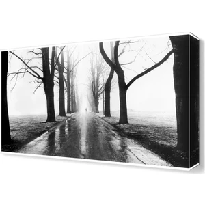 Dekor Sevgisi Bilinmez Tablo Canvas Tablo  45x30 cm
