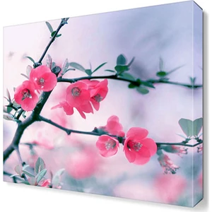 Dekor Sevgisi Pembe Küçük Çiçekler Tablosu 80x80 cm
