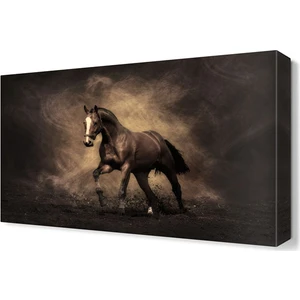 Dekor Sevgisi At Canvas Tablo  45x30 cm