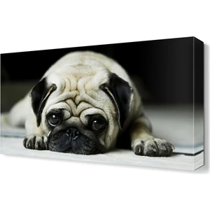 Dekor Sevgisi Yavru Köpek Canvas Tablo  45x30 cm