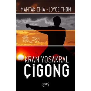 Kraniyosakral Çigong
