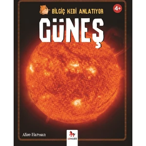 Bilgiç Kedi Anlatıyor: Güneş
