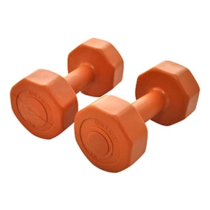 Dynamıc Vınyl Dumbbell Mix Unisex Ağırlık 1DYASVINYL-KAR-1KG