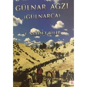 Gülnar Ağzı