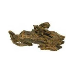 Mango Mangrove Akvaryum Kütügü Medium(20)