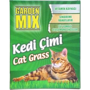Garden Mix Kedi Çimi Büyük