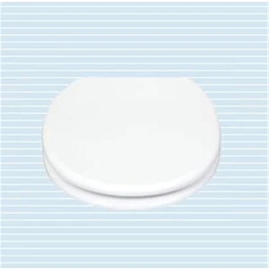 Aset Klozet Kapağı