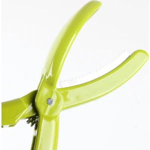 Kestane Çizici Chesnut Cutter