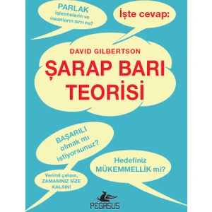Şarap Barı Teorisi - David Gilbertson