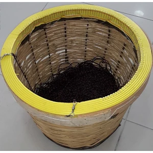 Abalone Hazır Paragat