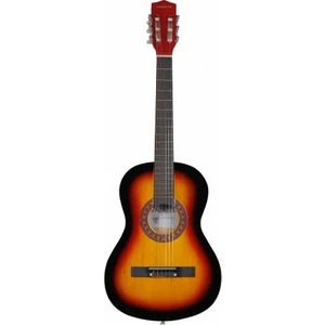 Klasik Gitar M831GM