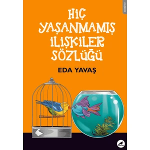 Hiç Yaşanmamış İlişkiler Sözlüğü - Eda Yavaş