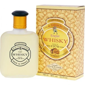 Evaflor For Men Edt 100 Ml Erkek Parfüm