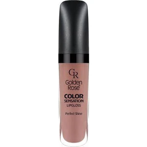 Golden Rose Color Sensation Lipgloss No: 108 Warm Nude - Renkli Dudak Parlatıcısı - 8691190704087