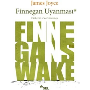 Finnegan Uyanması - James Joyce