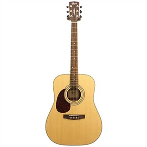 Earth70Lhop Solak Akustik Gitar