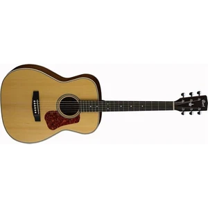L100Cns Akustik Gitar