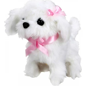 Sevimli Köpek Maltese