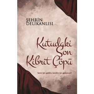Kutudaki Son Kibrit Çöpü - Şehrin Delikanlısı