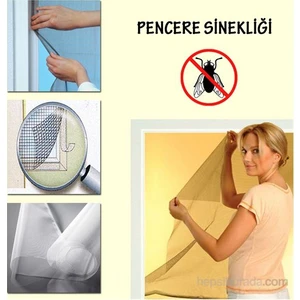 Koruyucu Pencere Sinekliği