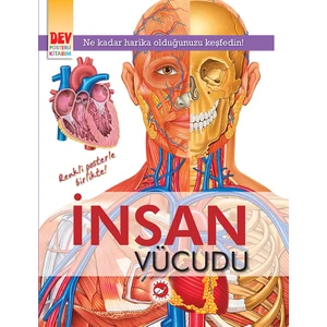 İnsan Vücudu: Dev Posterli Kitabım